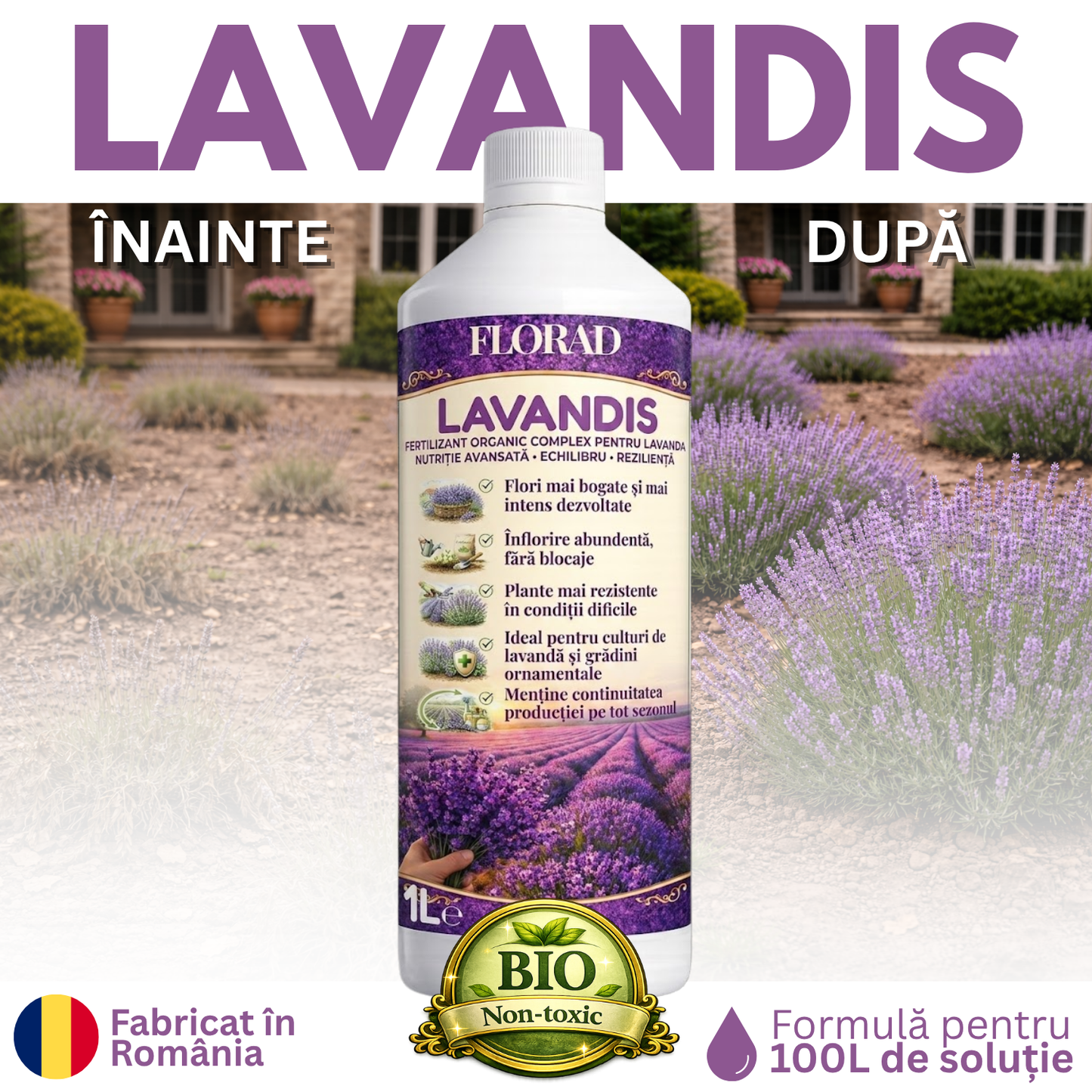 LAVANDIS