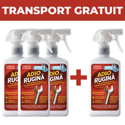 3+1 GATA! ADIO RUGINĂ
