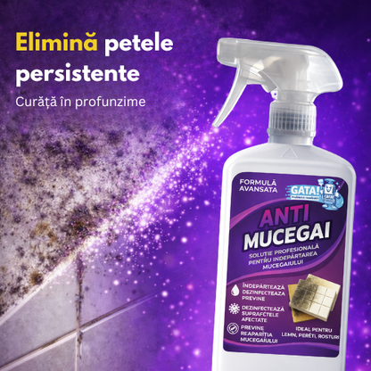 GATA! ANTI-MUCEGAI