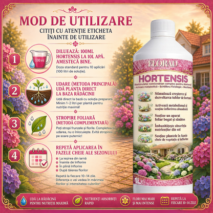 HORTENSIS