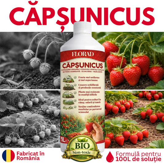 CAPSUNICUS