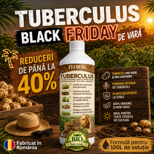 TUBERCULUS