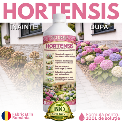 HORTENSIS