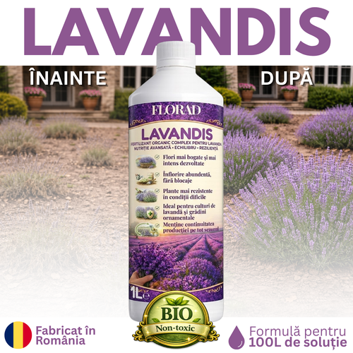 LAVANDIS