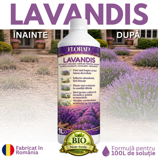 LAVANDIS