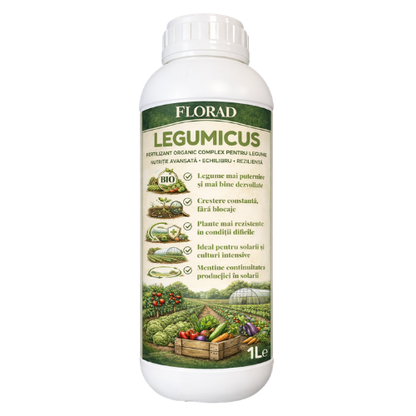 LEGUMICUS
