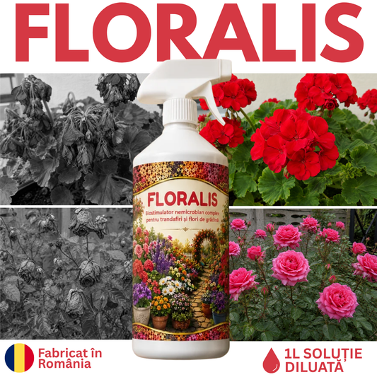 Floralis