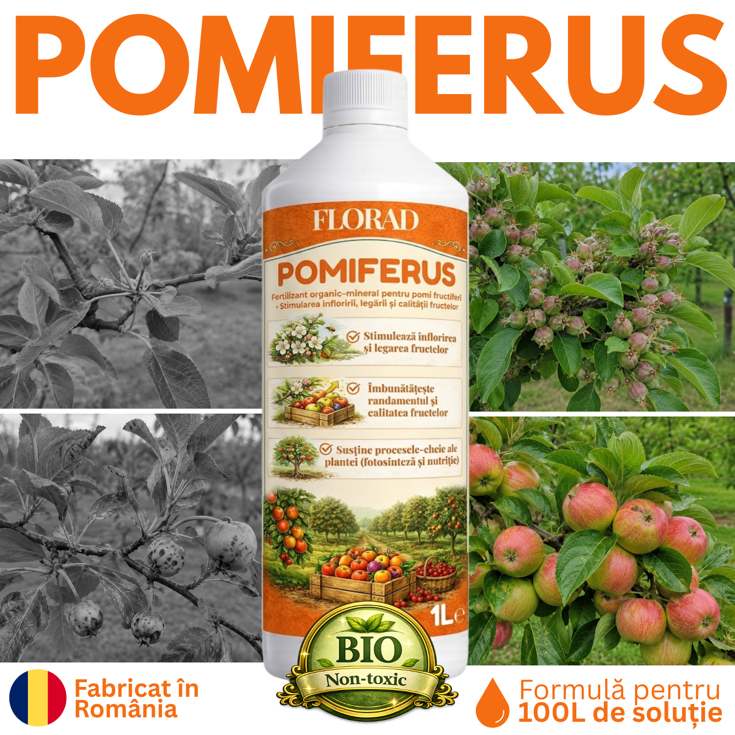 FLORAD Pomiferus 1L - Fertilizant pomi fructiferi – Verador