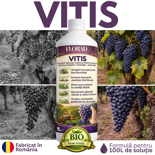 VITIS
